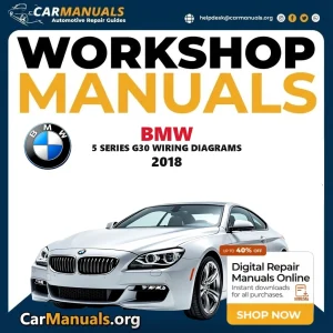 BMW 5 Series G30 Wiring Diagrams 2018 workshop manual